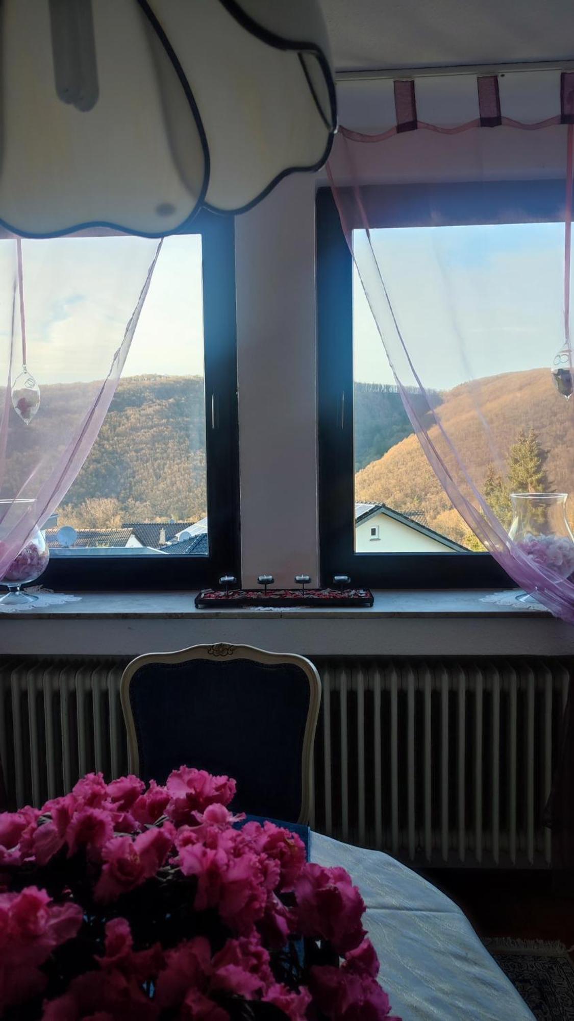 Ferienwohnung Kermeterblick Schleiden Exterior foto