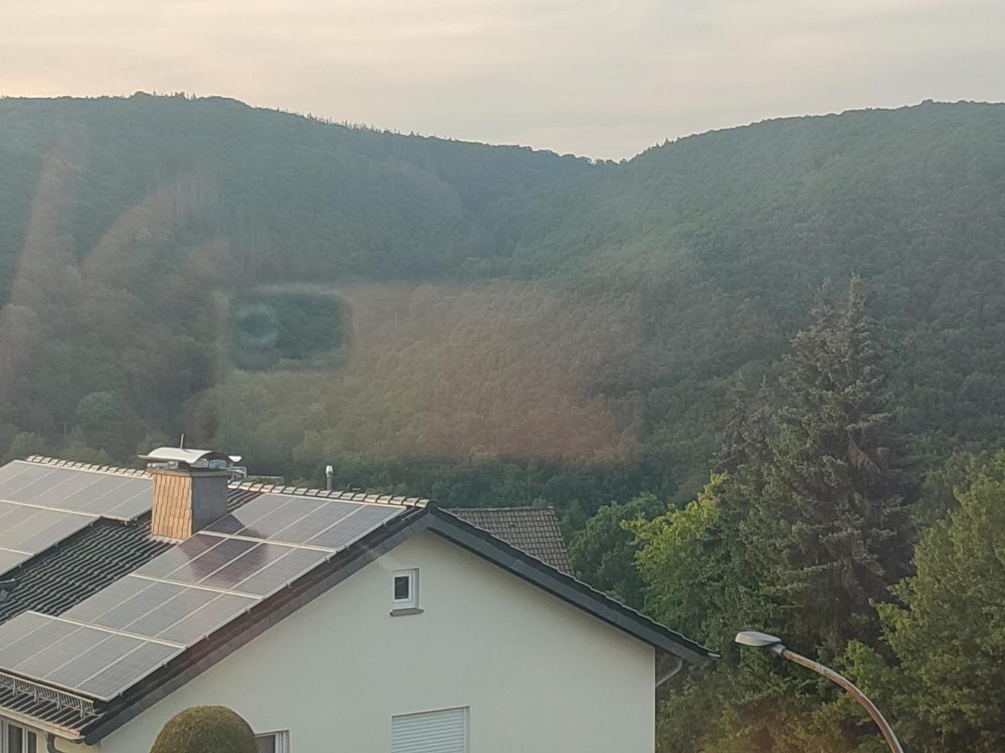 Ferienwohnung Kermeterblick Schleiden Zimmer foto